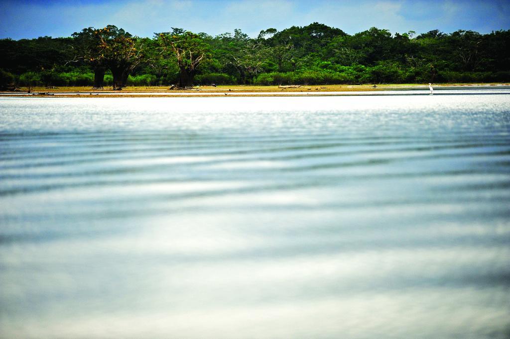 Puerto Montufar Jamu Lodge מראה חיצוני תמונה
